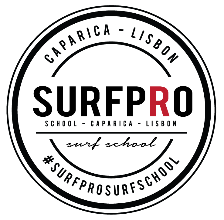 Surf Pro Surf School