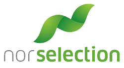 Nor Selection